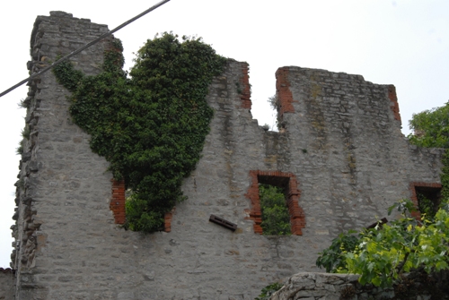 Foto ruderi del Castello di Castel di Fiori