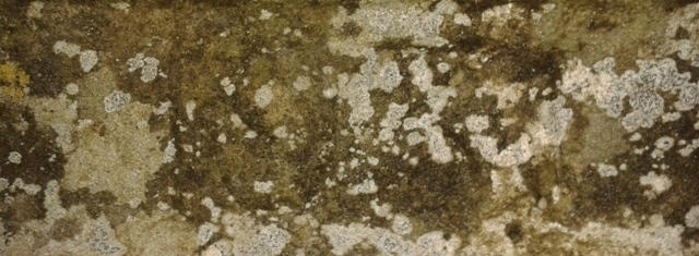 Dettaglio dell'iscrizione della Fonte